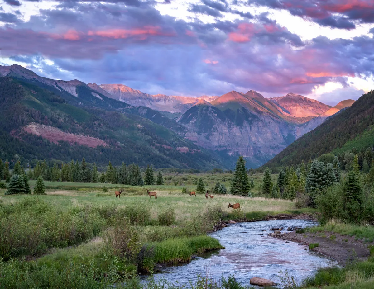 A serene mountain landscape featuring a stream bordered by tall trees, wildlife such as deer, and a backdrop of stunning peaks. The view evokes tranquility and an intimate connection with nature, perfect for quiet walks or wildlife observation.