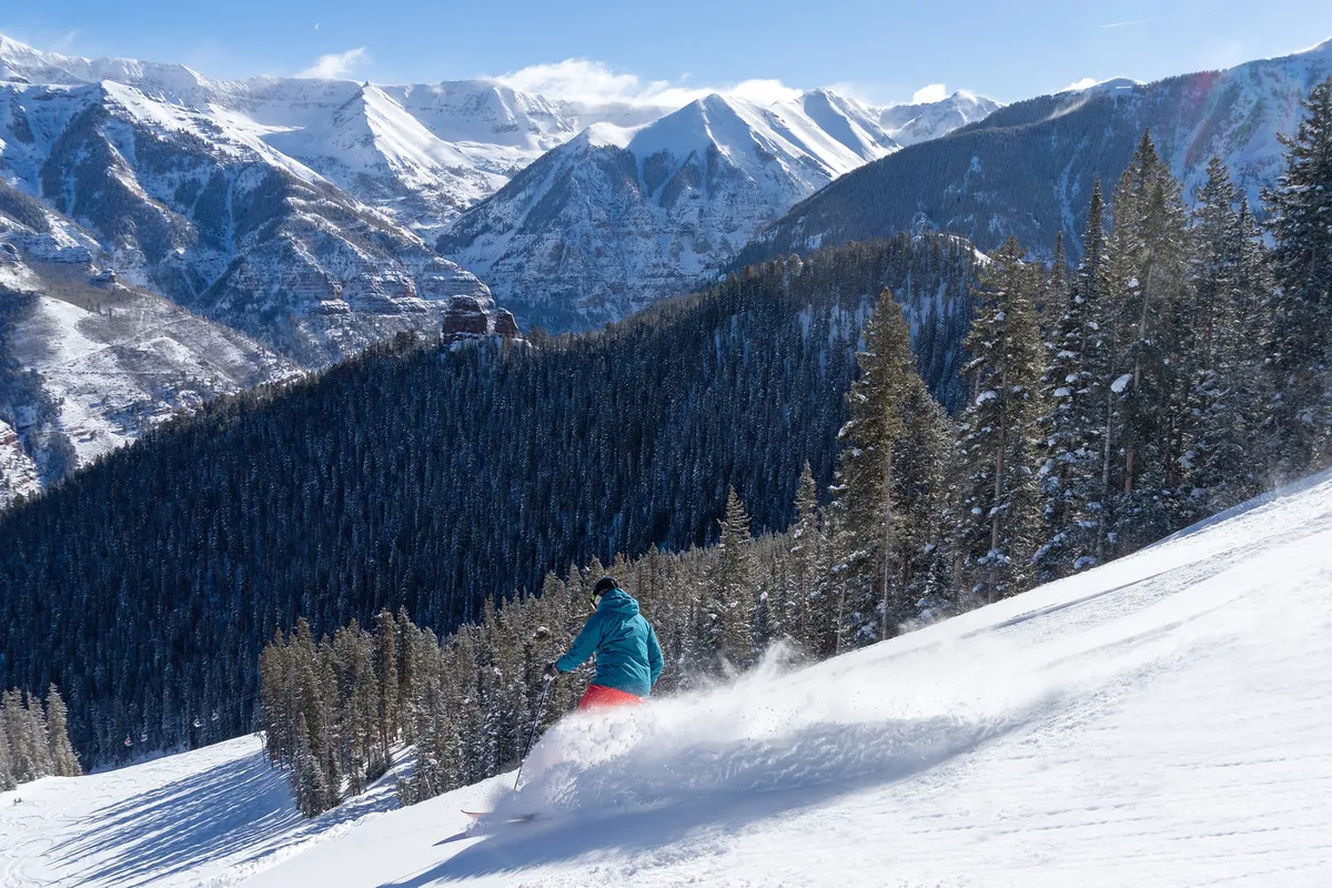 A dynamic close-up of a skier racing down a snow-covered mountain, framed by tall pine trees. The focus is on the action and exhilaration of winter sports in a natural alpine setting.